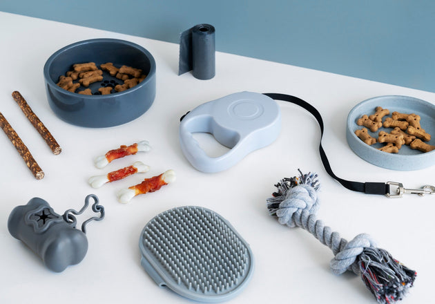 How Toys and Accessories Enrich Your Pet’s Life