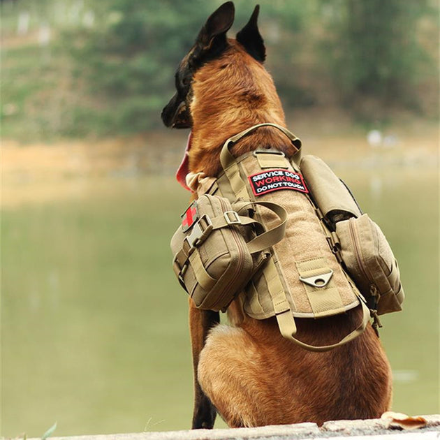 Wild Paws™ Pathfinder™ Tactical Military Vest