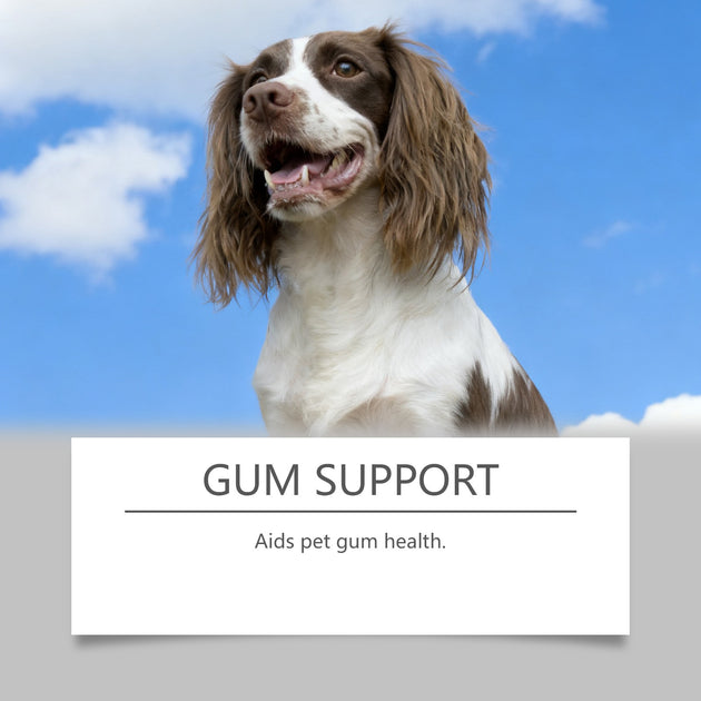 Pet Oral Care Solution