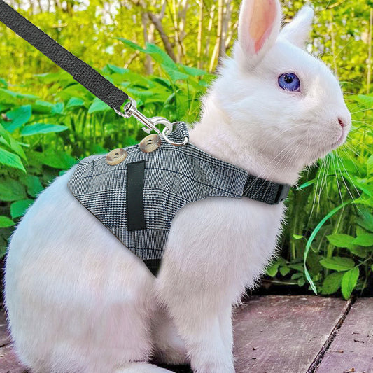 Adorable Rabbit Dress with Leash