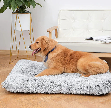 Plush Square Pet Bed / Wave Memory Foam Sofa