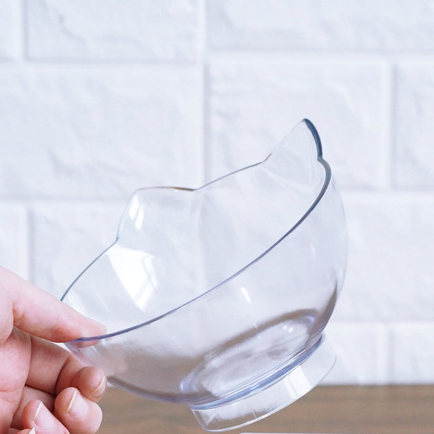 Inclined Transparent Cat Bowl