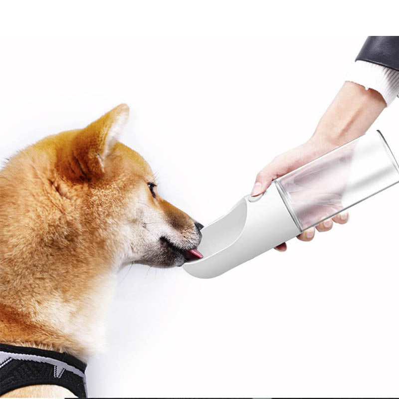 Pet Outdoor With Water Cups Out Walking The Dog Portable