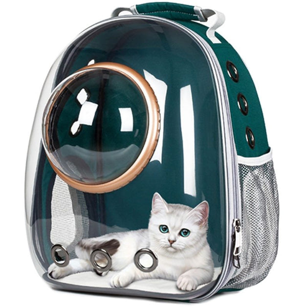 Full Transparent Backpack Carrier