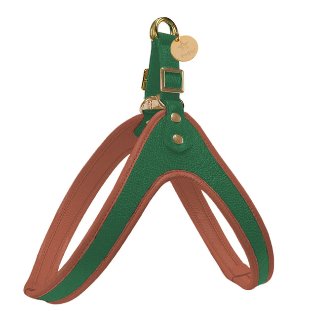 HARNESS - DESERT MINT