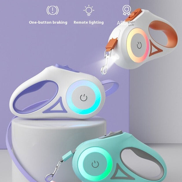 Retractable Leash