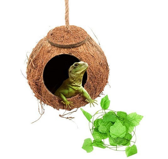 Reptile Swing Set with Coconut Shell Nest