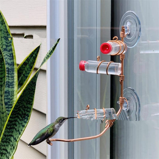Hummingbird Feeder with Suction Cup