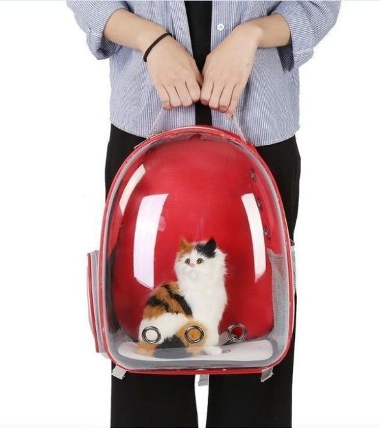 Full Transparent Backpack Carrier