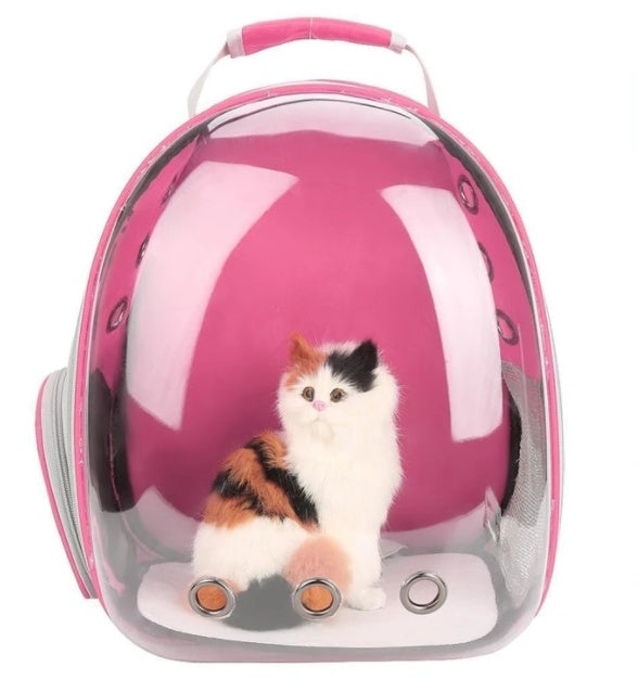 Full Transparent Backpack Carrier