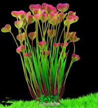 ed15ab03f6bf5bcb2b62dad3f694b782