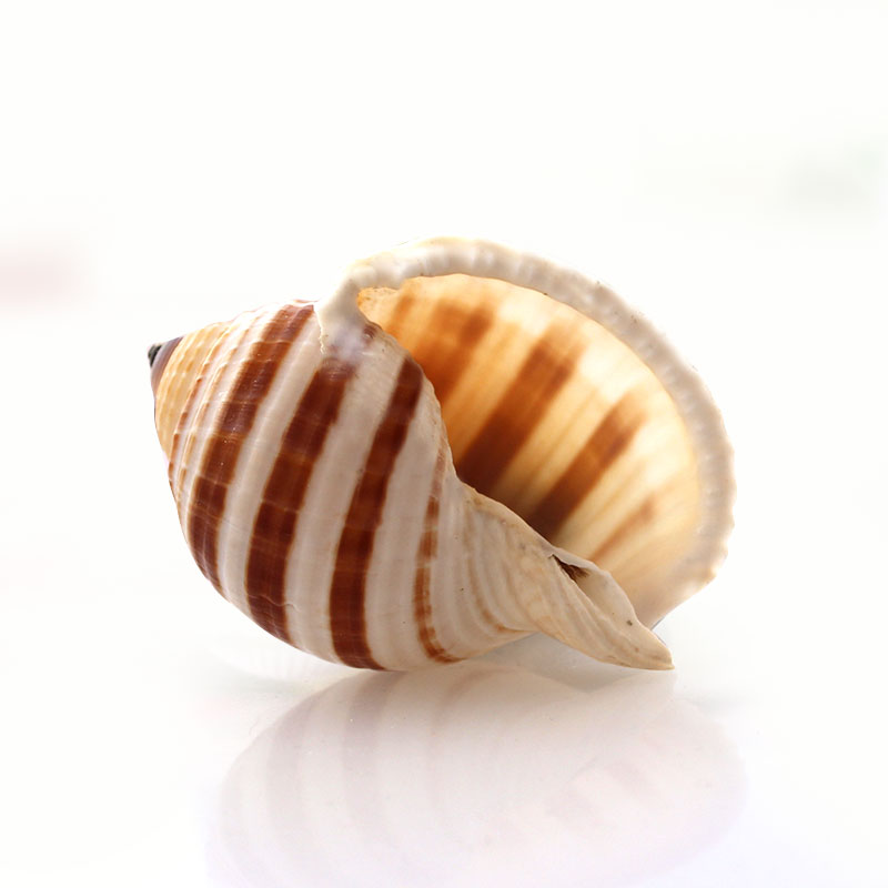 5f01076d65f74be060ec14ed42358df3