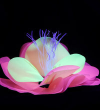 6f20ce601fdc167d47109660e1ee0820
