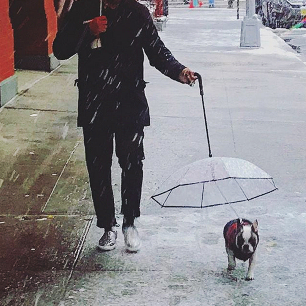 Transparent Umbrella with Removable Leash