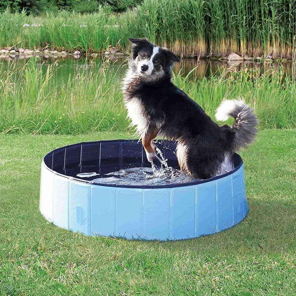 Pet Pool Pvc Outdoor Inflatable Pool
