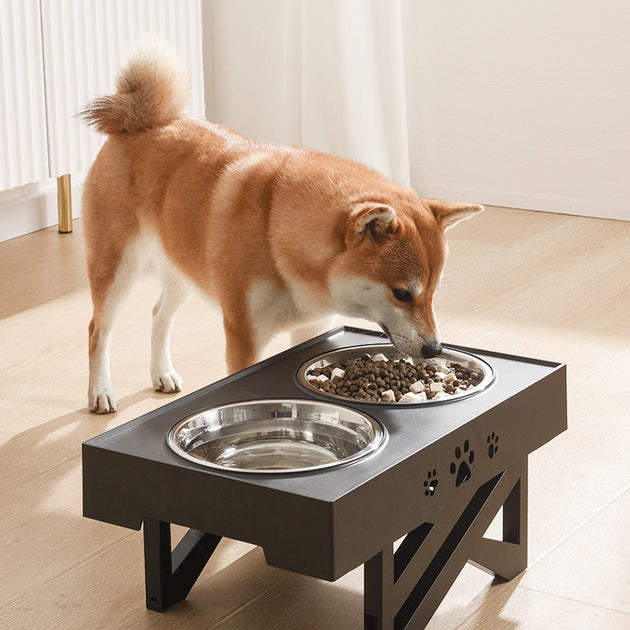 Portable Folding Bowl