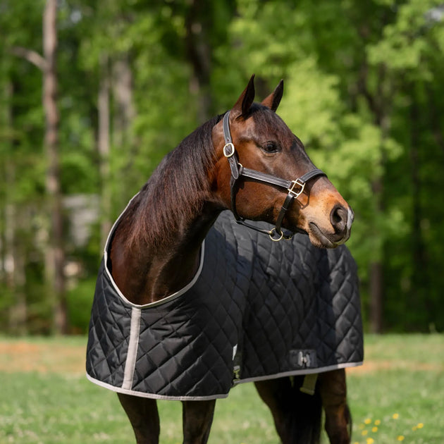 TuffRider Shelter Closed Front Medium Weight Stable Blanket-Black/Grey-68