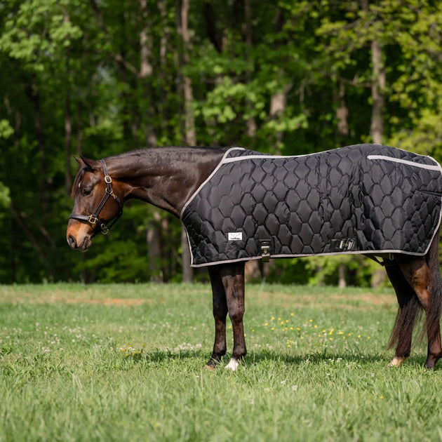 TuffRider Shelter Closed Front Heavyweight Stable Blanket-Black/Grey-72