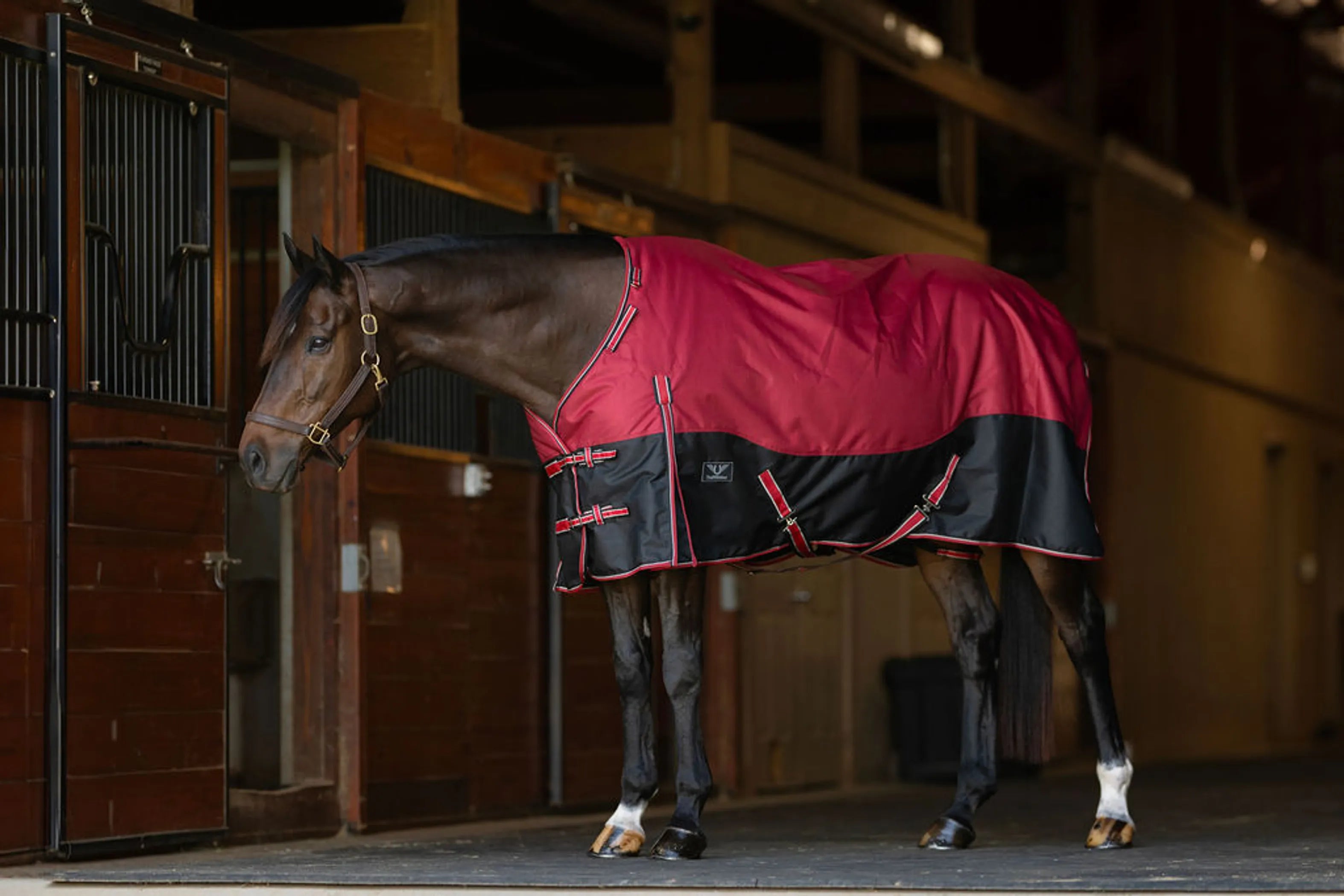 TuffRider Comfy Fit 1200 D RipStop Waterproof/Breathable  Comfy Winter Turnout Blanket Medium Weight 200 GSM Standard Neck W/Adjustable Neck - Two Tone Red/Black  -69