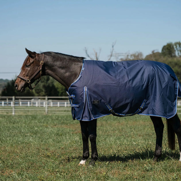 TuffRider Comfy Fit 1200 D RipStop Waterproof/Breathable  Comfy Winter Turnout Blanket Medium Weight 200 GSM Standard Neck W/Adjustable Neck - Single Sheet - Navy  w/Blue/Grey Trim -69