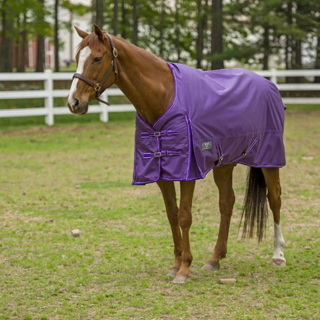 TuffRider 1600 D Super Comfy Standard Neck Blanket