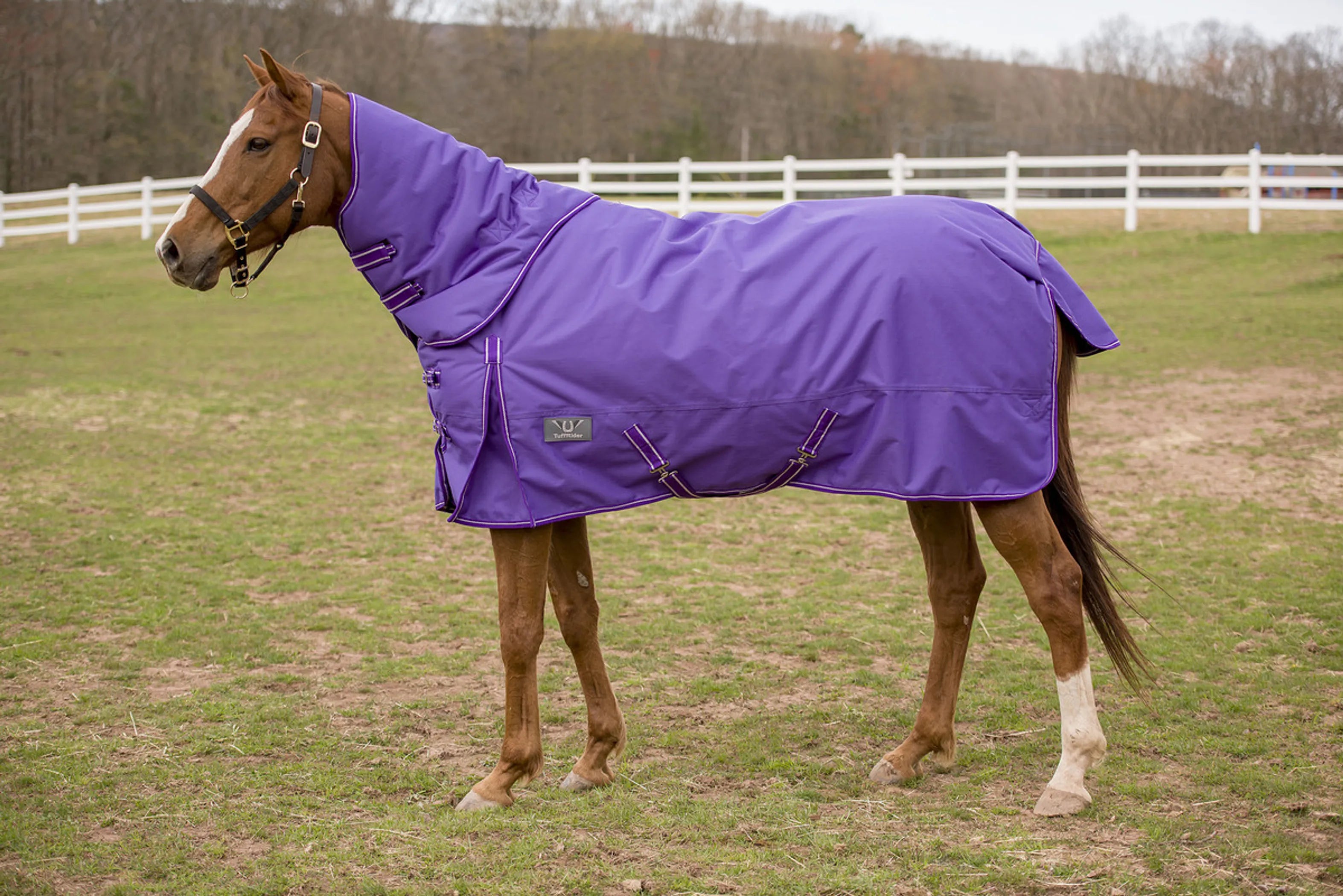 TuffRider 600 D Comfy Winter Medium Weight Turnout Blanket w/ Combo Neck- 200 GSM- Turquoise- 69