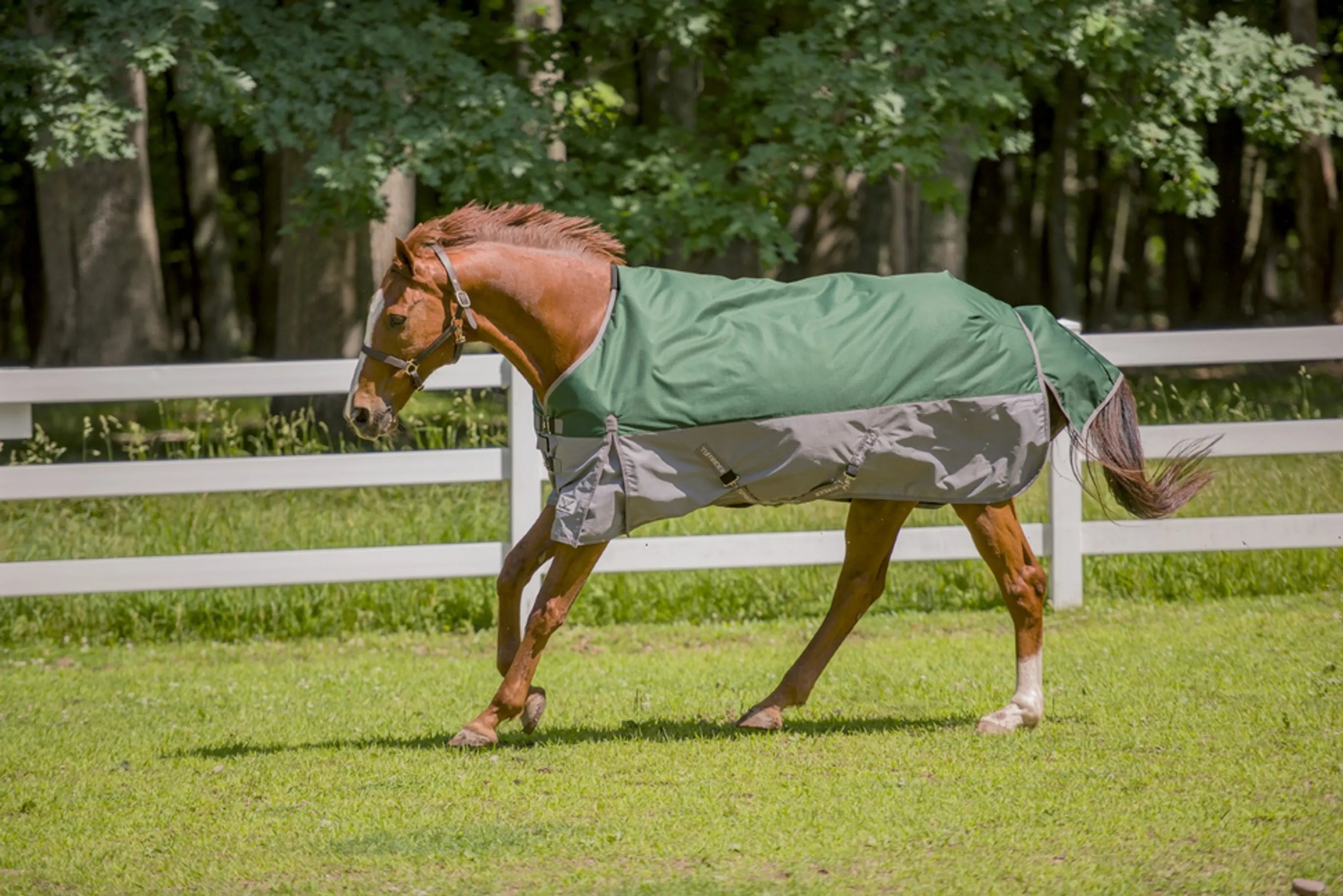TuffRider Bonum 1200D Medium Weight Standard Neck Two Tone Turnout Blanket With 200gms of fill