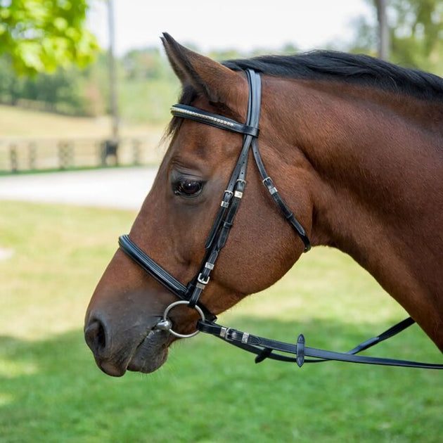 Henri de Rivel Clincher Bridle