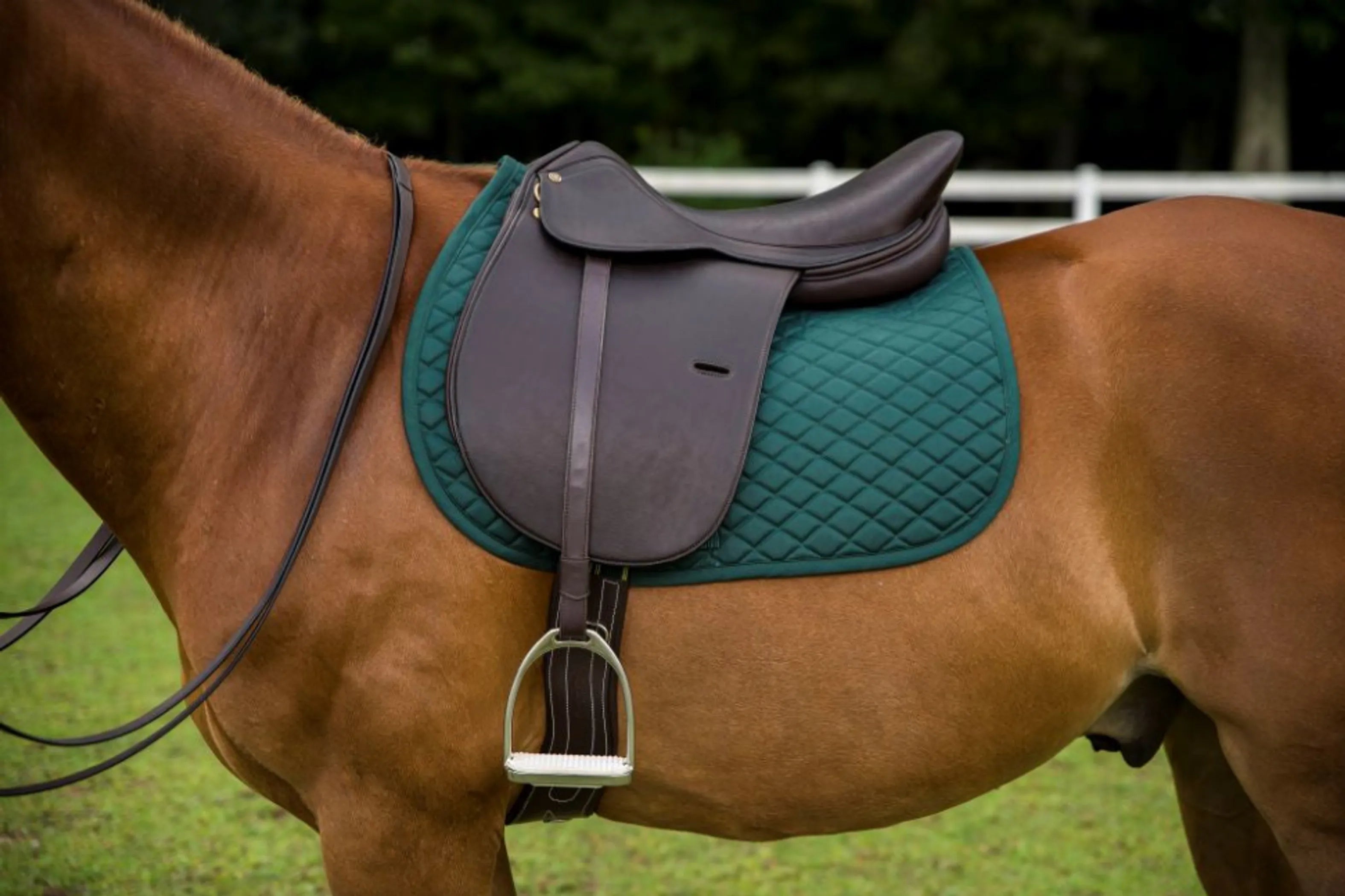 Henri De Rivel Jaipur Polo Saddle