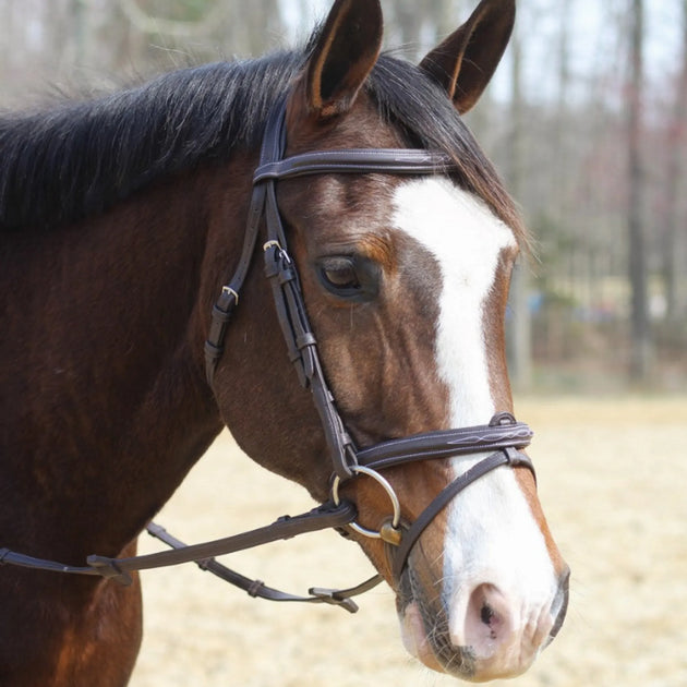 Henri de Rivel Kushy Bridle with Detachable Flash