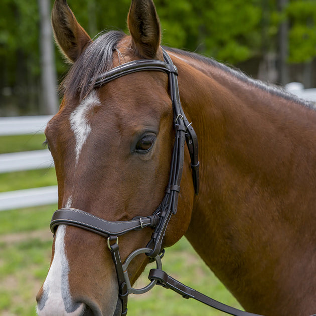 Henri de Rivel Pro Anatomical Bridle