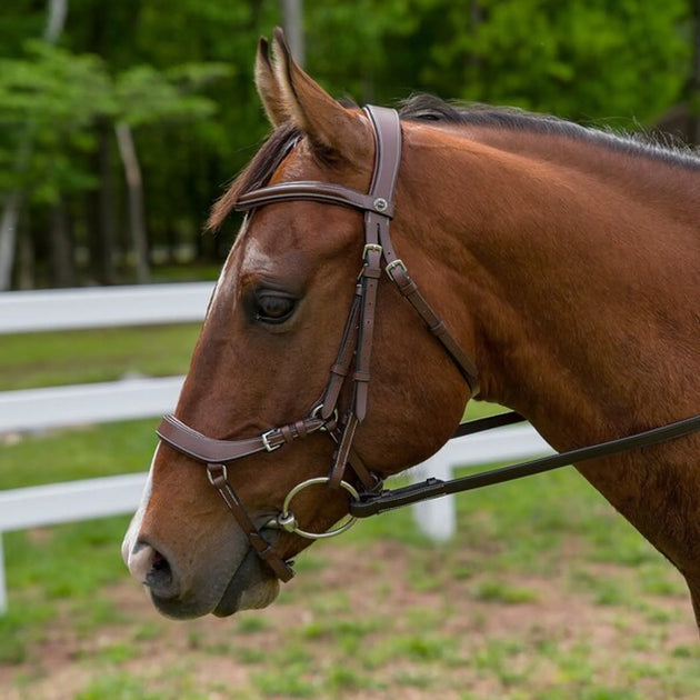 Henri de Rivel Pro Anatomical Bridle - Australian Nut - Oversize