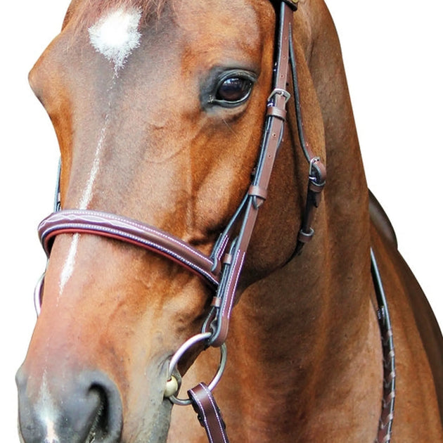 Henri de Rivel Pro Fancy Raised Comfort Crown Padded Bridle With Fancy Raised Reins