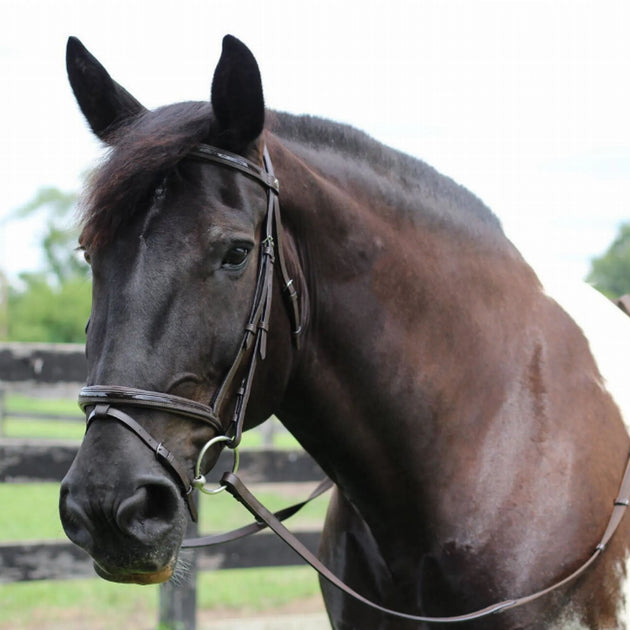 Henri de Rivel Pro Piaffe Mono Crown Bridle with Flash Noseband with Patent Leather and webbed rubber reins with leather stops