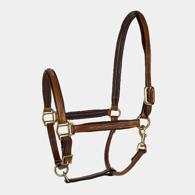 Lettia Padded Leather Halter with Fancy Stitching