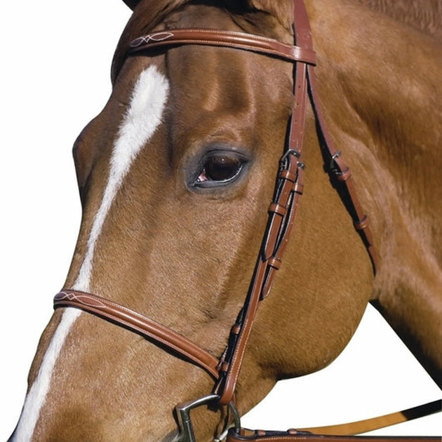Henri de Rivel Pro Fancy Raised Bridle With Laced Reins