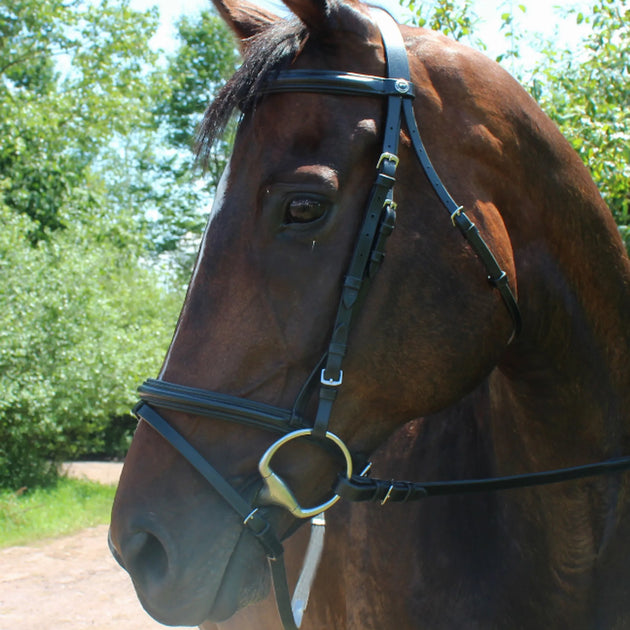Henri de Rivel Pro Padded Dressage Bridle with Flash and Web Reins