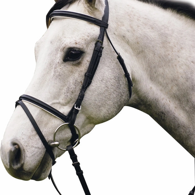 Henri de Rivel Pro Padded Dressage Bridle with Flash and Web Reins - Black/White - Oversize