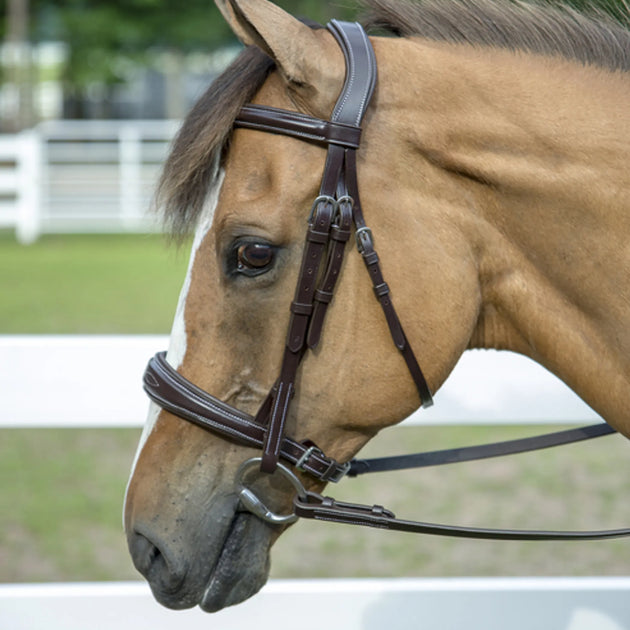 Henri de Rivel Pro Mono-Crown Padded Wide Noseband Bridle