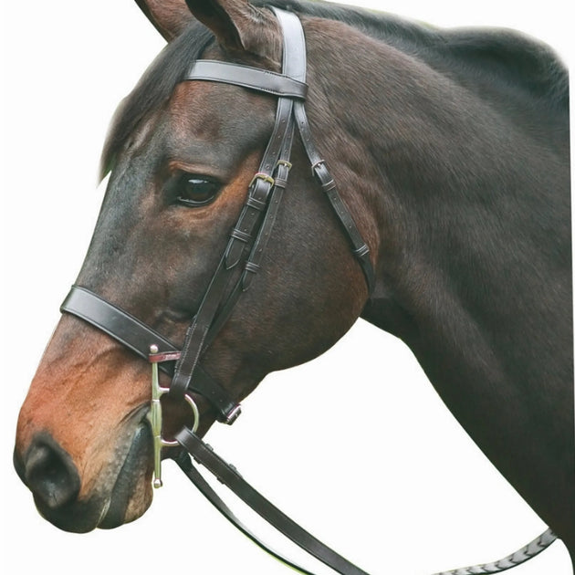 Henri de Rivel Advantage Hunt Bridle