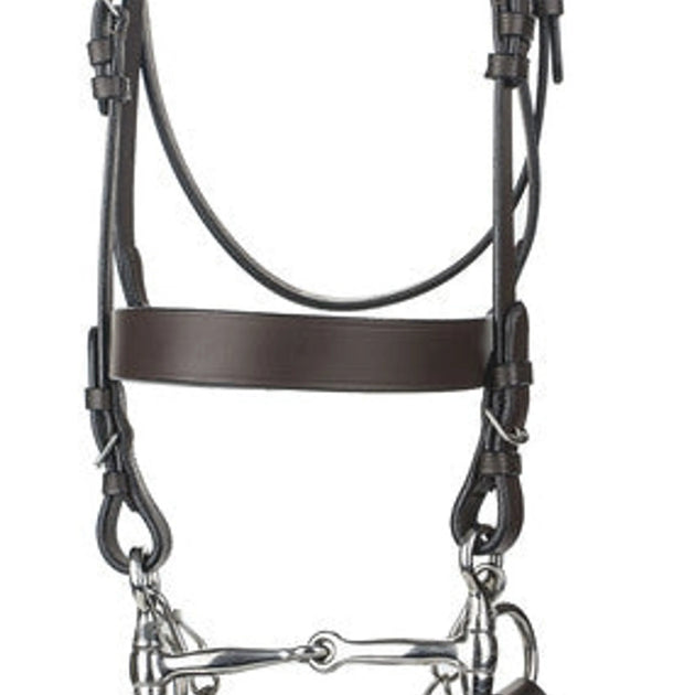 HENRI DE RIVEL POLO BRIDLE WITH DOUBLE REINS