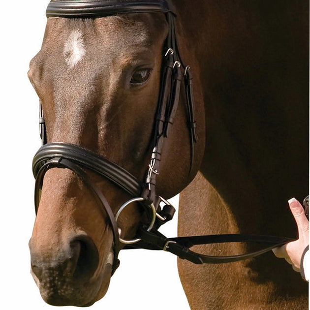 Henri de Rivel Pro Padded Raised Dressage Bridle with Crank Flash Noseband with Web Reins