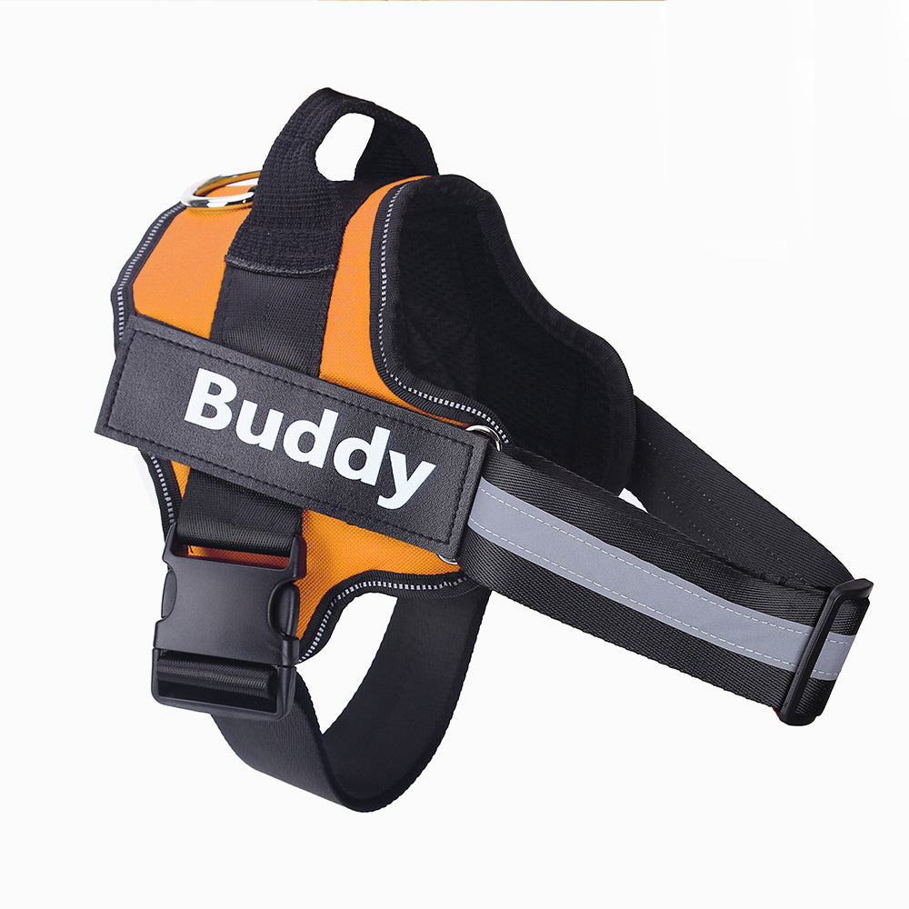 No-Pull Personalized Harness