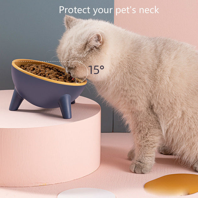 Nordic Color Feeding Bowl with Stand