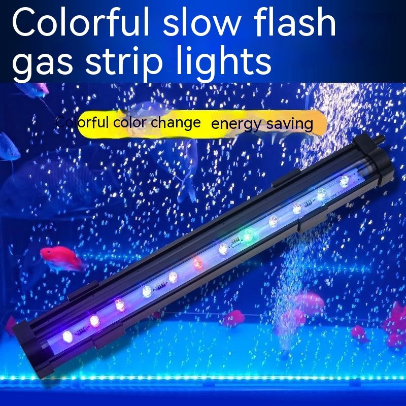 2b86e10b2d2774a0d8799a5409b4d5ca