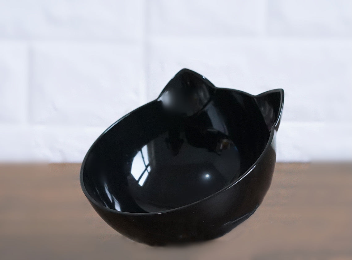 Inclined Transparent Cat Bowl