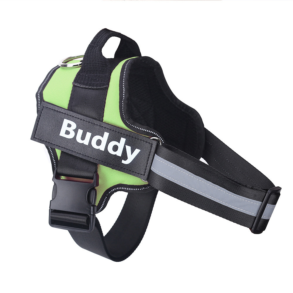 No-Pull Personalized Harness
