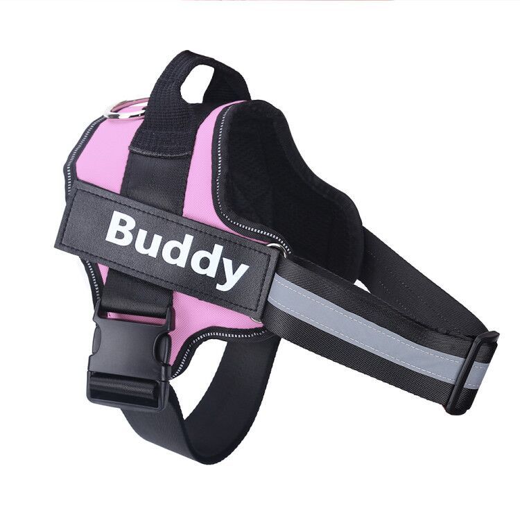 No-Pull Personalized Harness