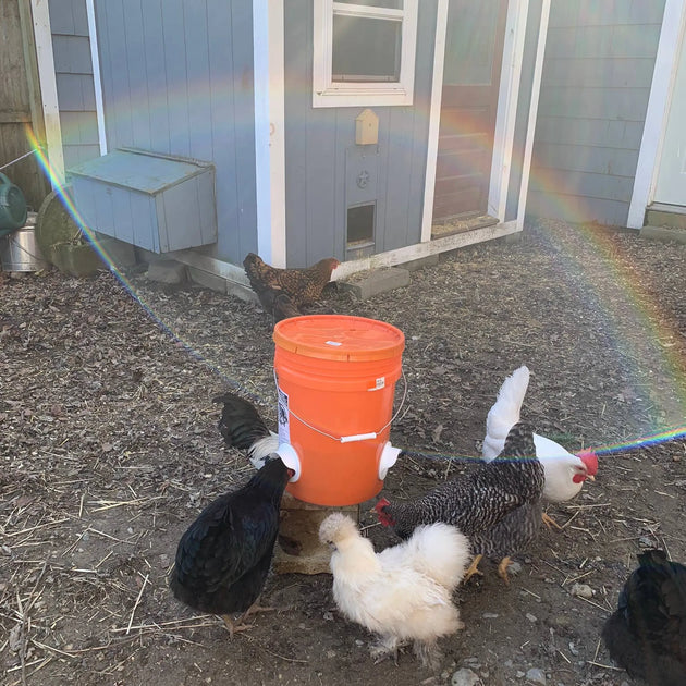 POULTRY PRO FEEDER