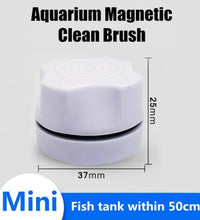 8190788dbb05908089bfceeedaab9a1b